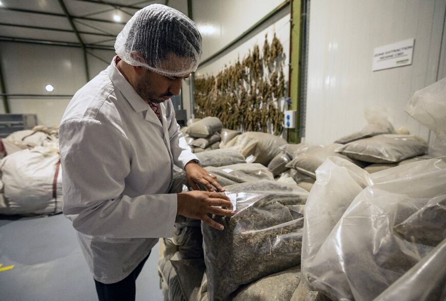 Morocco's partial legalisation of cannabis sought to combat drug trafficking and improve the farmers' livelihoods
