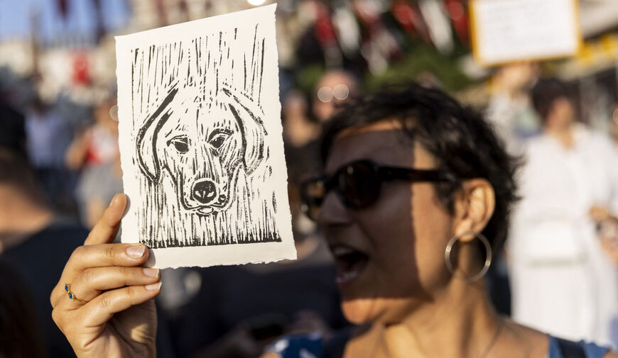 An animal right activist takes part in a demonstration to protect stray dogs and cats in Istanbul on 13 July 2024. The government has drawn up legislation to capture and sterilise strays, before putting them down if they are not adopted within 30 days. (Photo by KEMAL ASLAN / AFP) (Photo by KEMAL ASLAN/AFP via Getty Images)