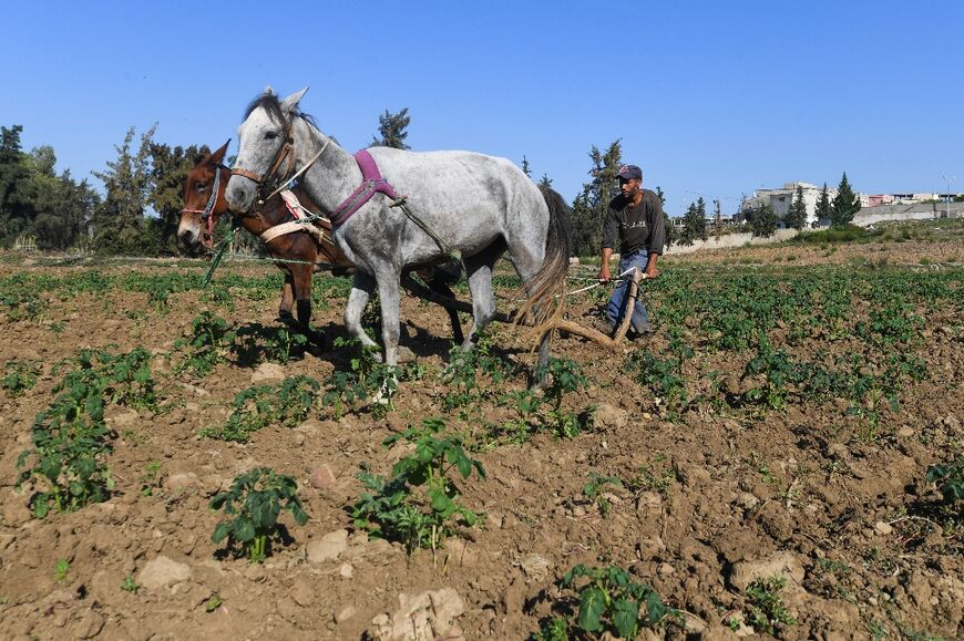 Crippling debt and slow growth are weighing heavily on Tunisia's economy as President Kais Saied seeks a second term