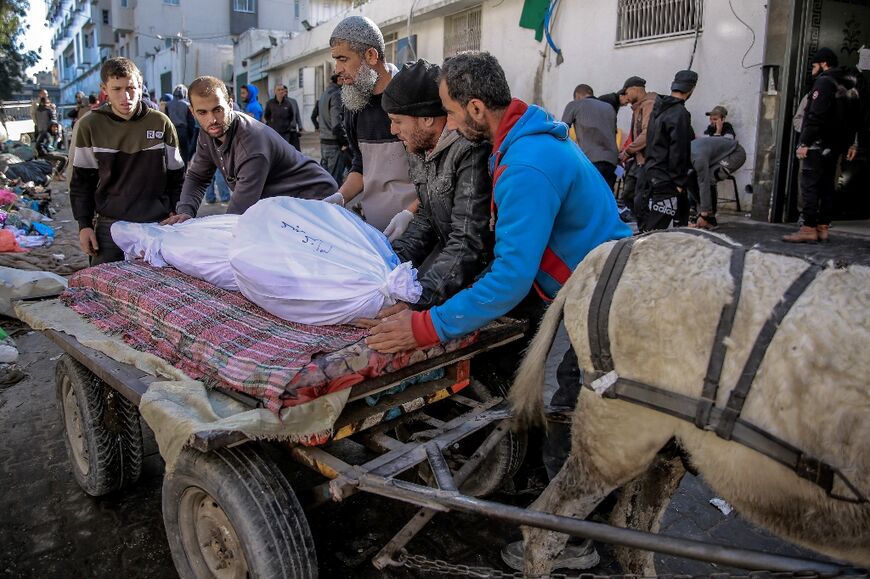 In Gaza, donkeys transport both the living and the dead 