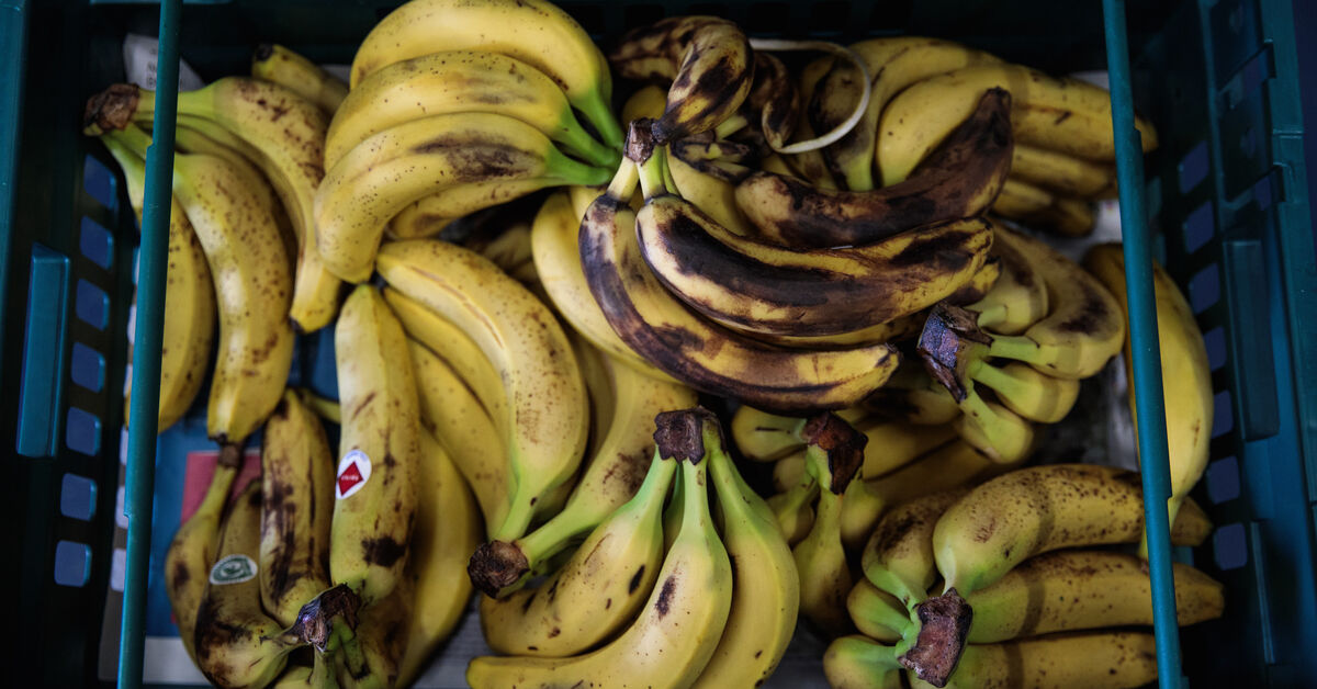 Syrians to be deported for eating bananas u0027provocativelyu0027 in 