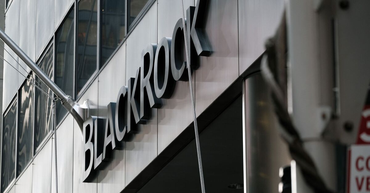 UAE companions with US investing agency BlackRock