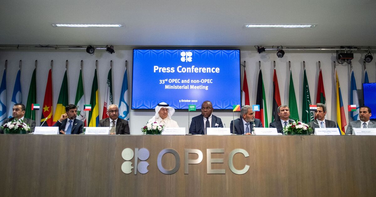 US should balance response to OPEC+ oil cuts with other needs