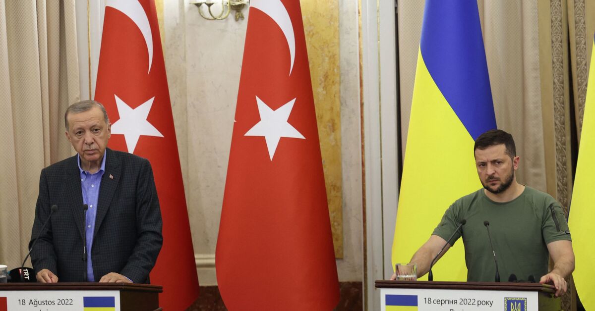 Ukraine’s Zelenskyy to visit Turkey as Erdogan seeks to extend grain deal