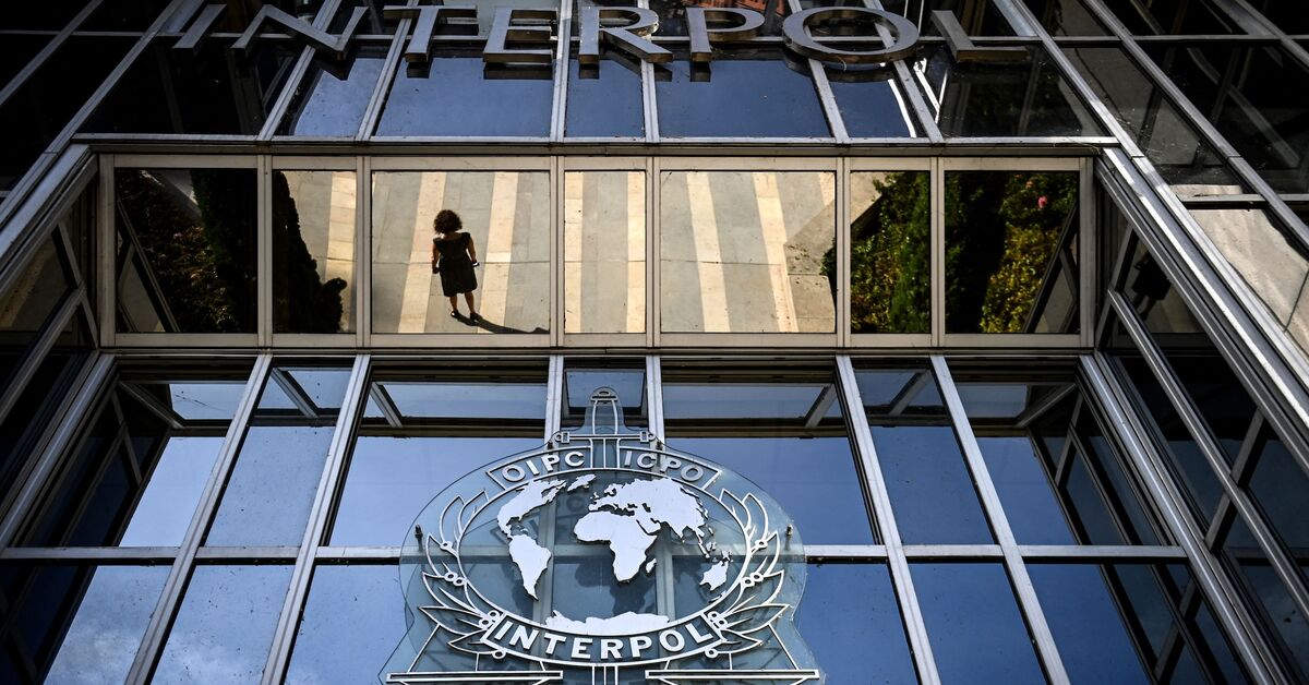 Interpol red notice for mother, son who fled Turkey to US after hit-and-run