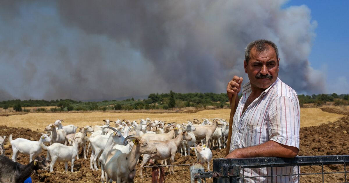 Wildfires in Turkey: 11 dead, 78 injured as heat soars to 50 degrees Celsius